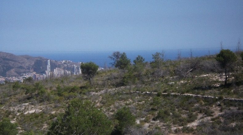 Alicante - Polop - 10000m2