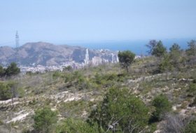 Polop 10000&nbsp;m² 