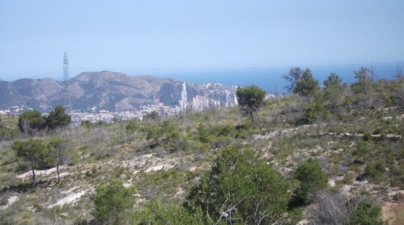 Alicante - Polop - 10000m2