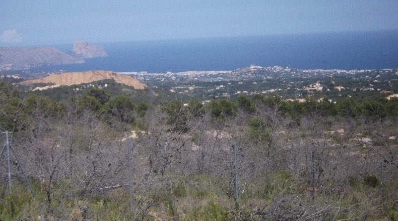 Alicante - Polop - 10000m2