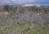 Parcel·la urbanitzable en venda a la Camí del Morgoig, Polop, ref.: TR358906 foto