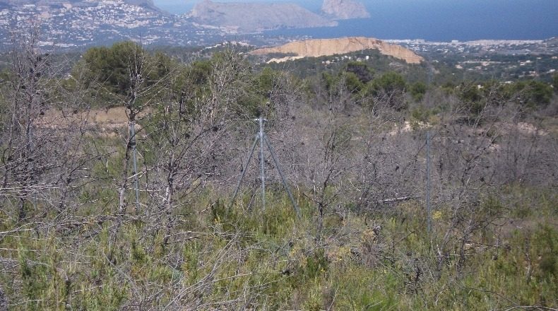 Alicante - Polop - 10000m2