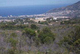 Polop 10000&nbsp;m² 
