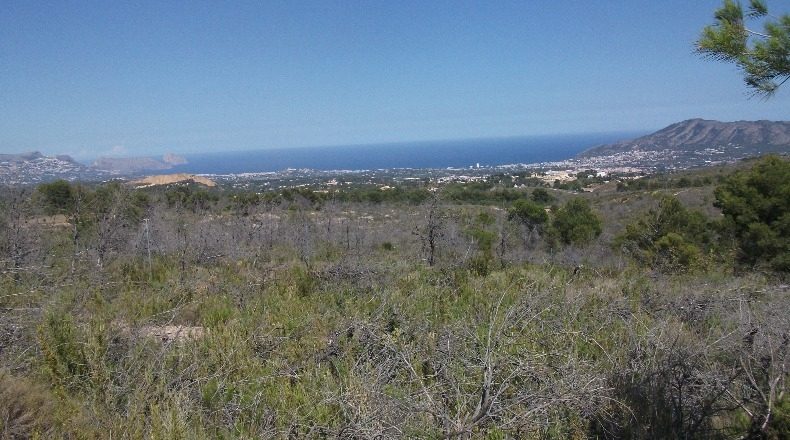 Alicante - Polop - 10000m2