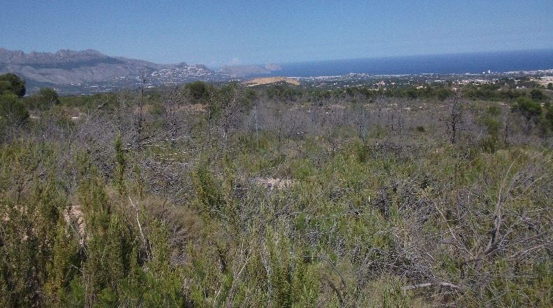 Alicante - Polop - 10000m2