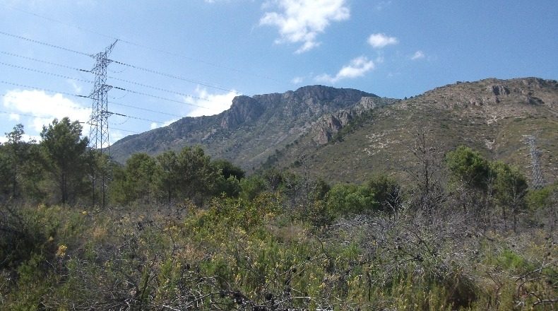 Alicante - Polop - 10000m2