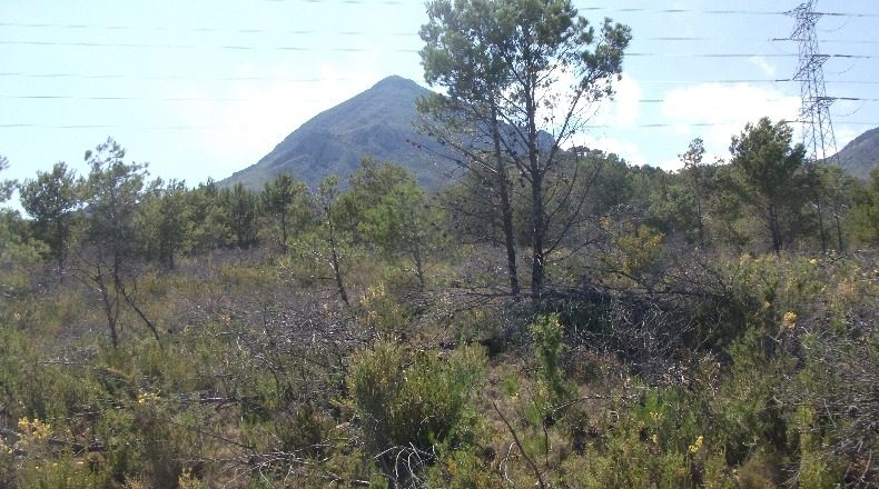 Alicante - Polop - 10000m2