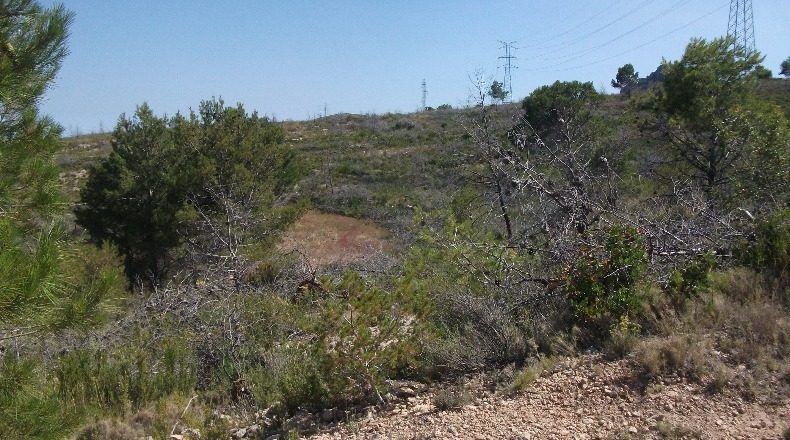 Alicante - Polop - 10000m2