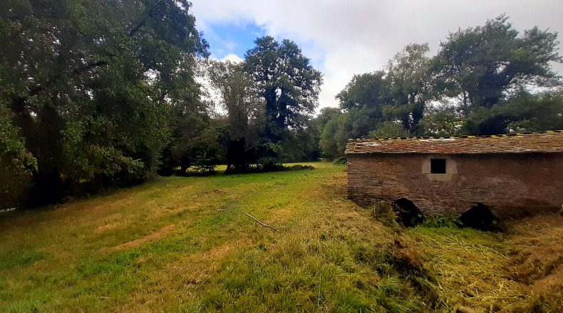 Lugo - Castro de Rei - 1196m2