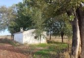 Terreno no urbanizable en venta en la Camino de la Herradura, Añover de Tajo, ref: TR358985 foto