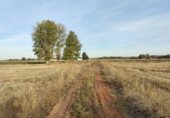 Terreno no urbanizable en venta en la Camino de la Herradura, Añover de Tajo, ref: TR358985 foto