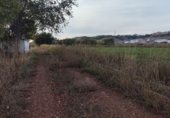 Terreno no urbanizable en venta en la Camino de la Herradura, Añover de Tajo, ref: TR358985 foto