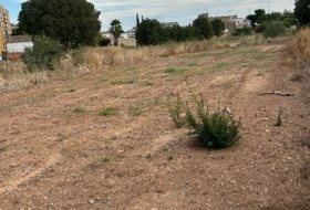 Catadau 832&nbsp;m² 