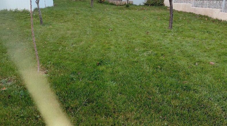 Navarra - Villatuerta - 500m2