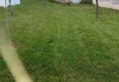 Участок с хранилищем на продажу в городе Villatuerta Фото