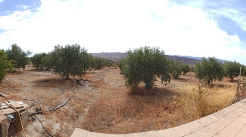 Almeria - Tabernas - 7000m2