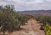 Finca rústica en venda a la poligono 45, Tabernas, ref.: TR359783 foto