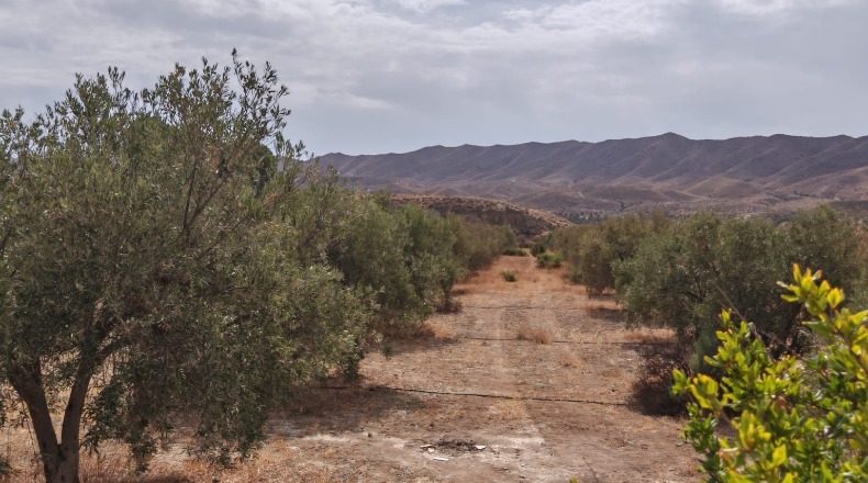 Almeria - Tabernas - 7000m2
