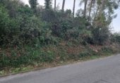 Suelo urbano en venta en la Avinguda d'Espanya, Cervelló, ref: TR359782 foto