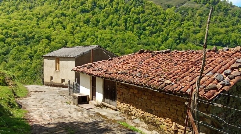 Asturias - La Roza (Los Montes) - 23800m2