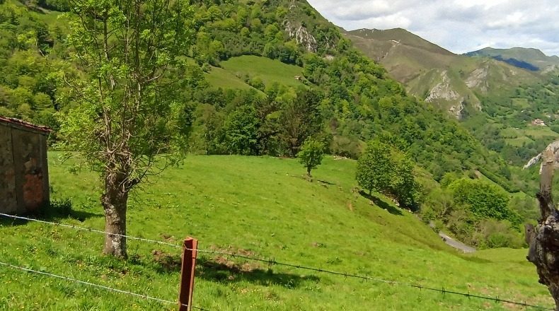 Asturias - La Roza (Los Montes) - 23800m2