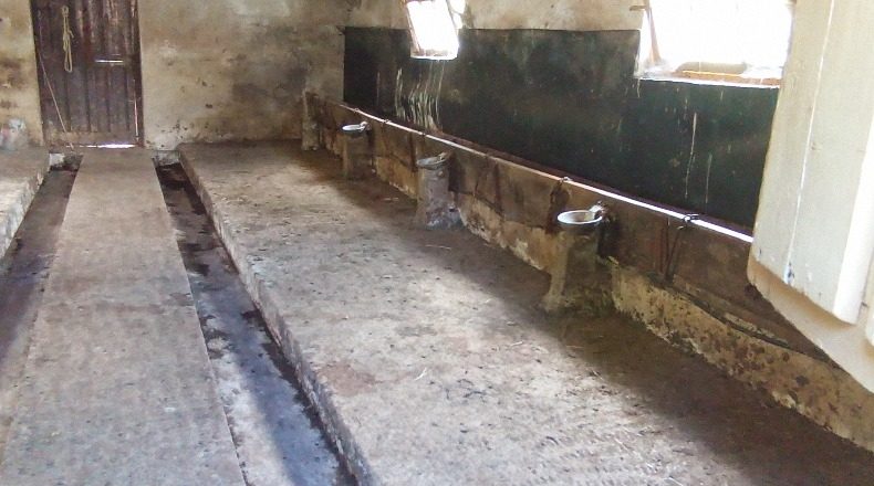 Asturias - La Roza (Los Montes) - 23800m2