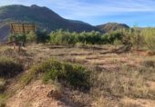 Non-developable land for sale on Ceal, ref: TR360453 photo