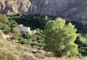 Non-developable land for sale on Ceal, ref: TR360453 photo