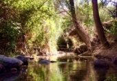 Non-developable land for sale on Ceal, ref: TR360453 photo