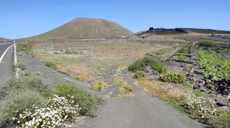 Las Palmas - Тегисе - 9989m2