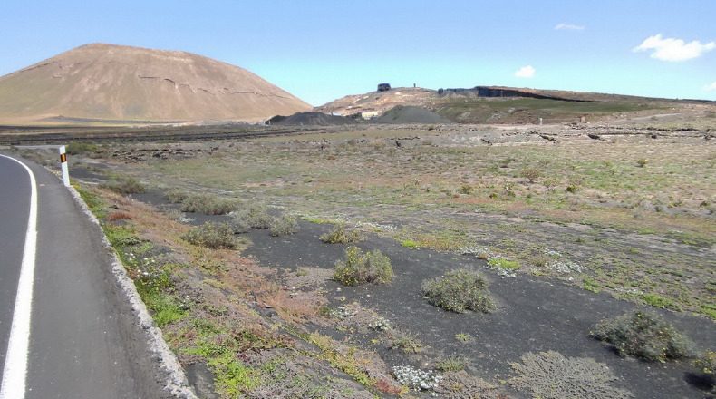 Las Palmas - Тегисе - 9989m2