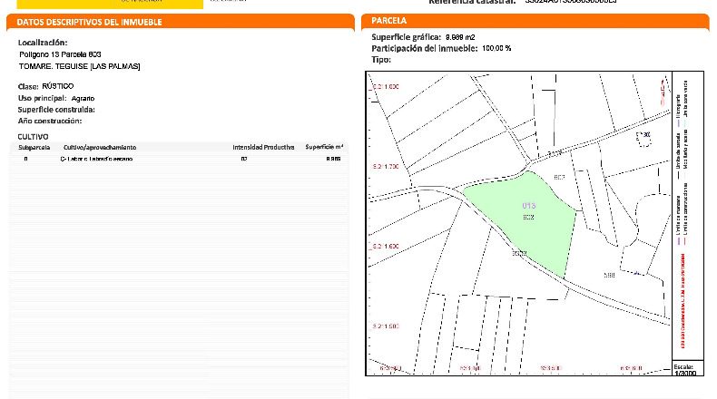 Las Palmas - Тегисе - 9989m2