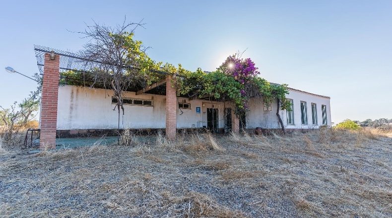 Huelva - Calañas - 130000m2