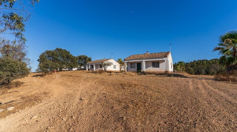 Huelva - Calañas - 130000m2