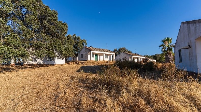 Huelva - Calañas - 130000m2