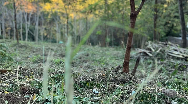 Barcelona - Sant Cugat del Vallès - 1008m2