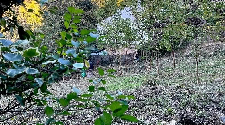Barcelona - Sant Cugat del Vallès - 1008m2