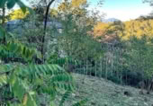 Suelo urbano en venta en la Carrer de Magarola, Sant Cugat del Vallès, ref: TR72932 foto