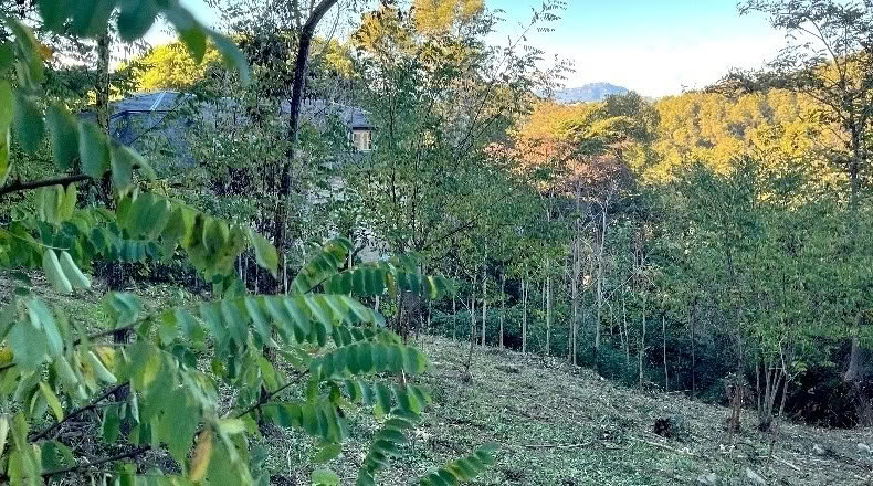 Barcelona - Sant Cugat del Vallès - 1008m2