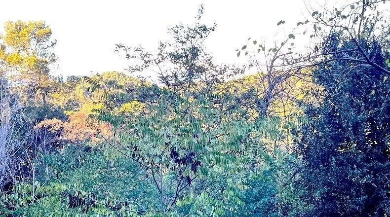 Barcelona - Sant Cugat del Vallès - 1008m2