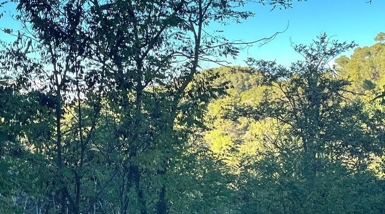 Barcelona - Sant Cugat del Vallès - 1008m2