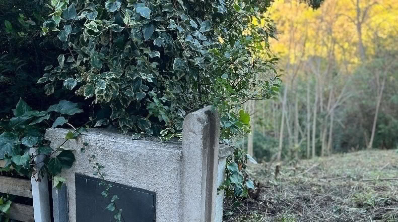 Barcelona - Sant Cugat del Vallès - 1008m2