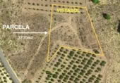 Non-developable land for sale on Ceal, ref: TR360453 photo