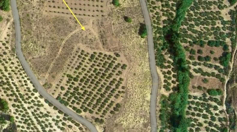Jaén - Ceal - 3700m2