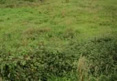 Non-developable land for sale on Barrio del Villar, Muros de Nalón, ref: TR362613 photo