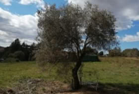 Masquefa 400&nbsp;m²