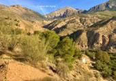 Terreno no urbanizable en venta en la JV-3266, Huesa, ref: TR362617 foto