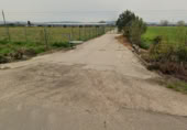 Terreny no urbanitzable en venda a la Parcela 7-188, Talavera La Nueva, ref.: TR363612 foto