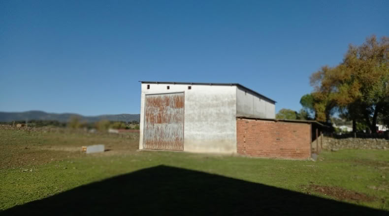 Sevilla - El Real de la Jara - 22798m2
