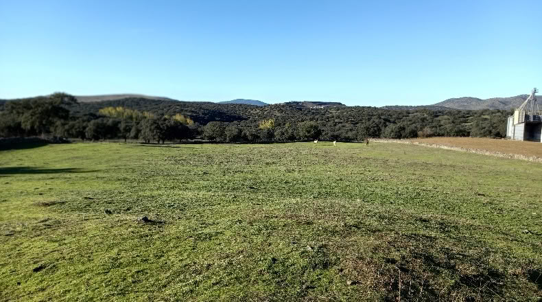Sevilla - El Real de la Jara - 22798m2